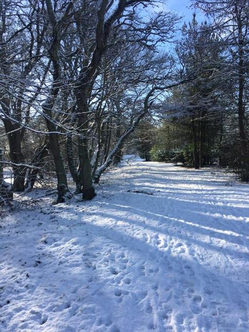Kings Cottage, Nairn - A Charming Place To Stay Екстер'єр фото